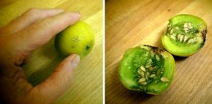 Finalmente ho mangiato un melone prodotto dal mio orto